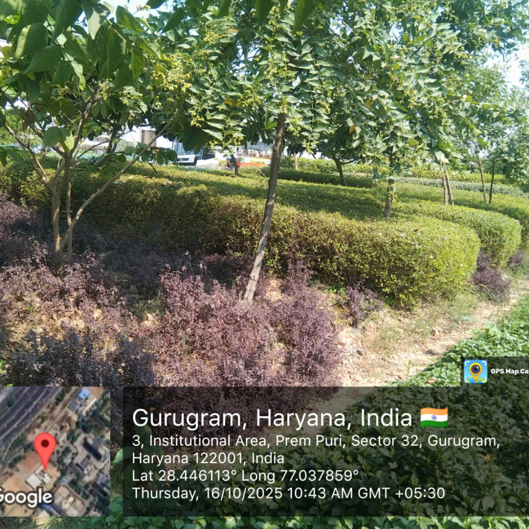 Cleanliness drive in progress