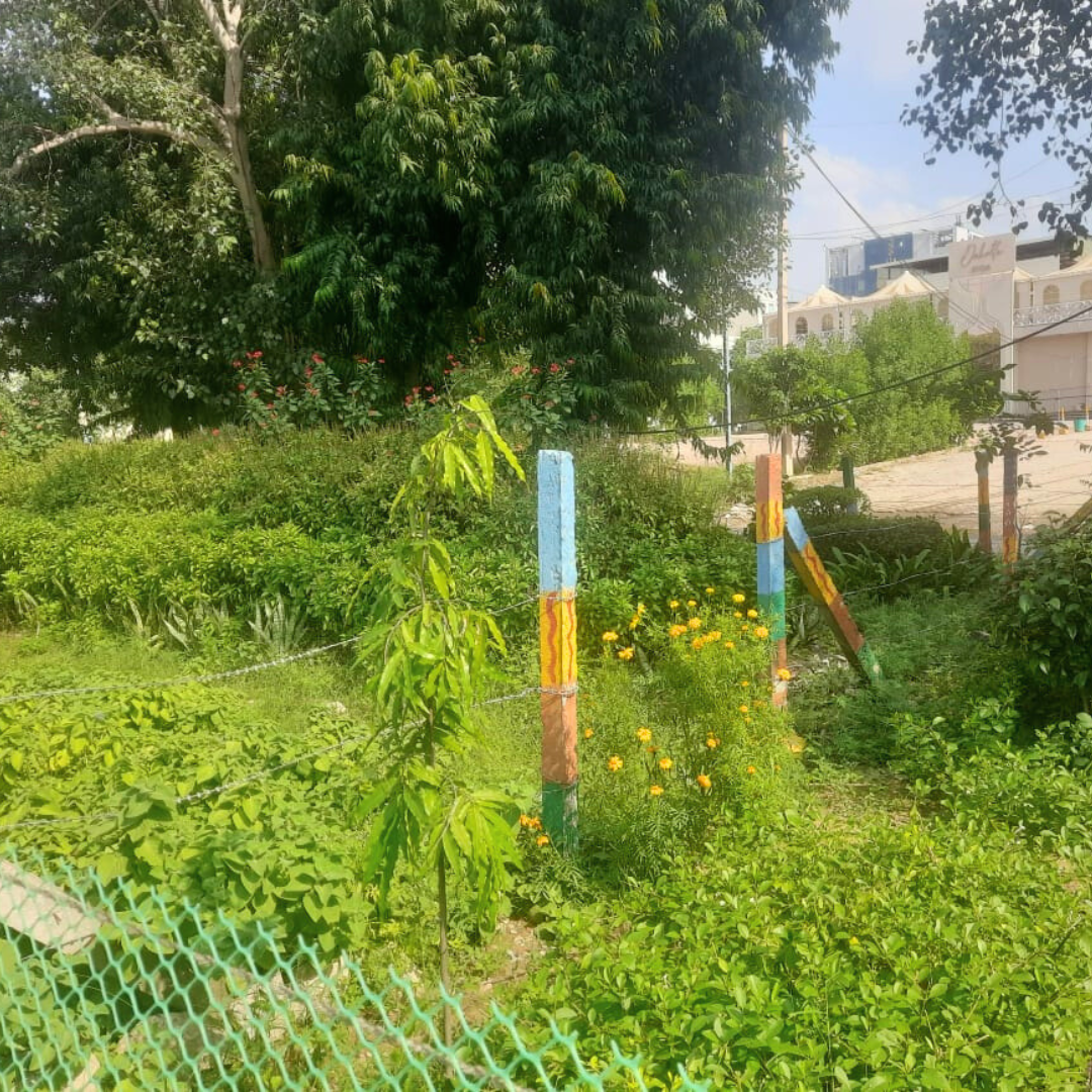 Aranya volunteers maintaining the green belt