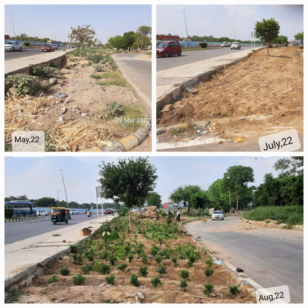 Native forest along a campus perimeter
