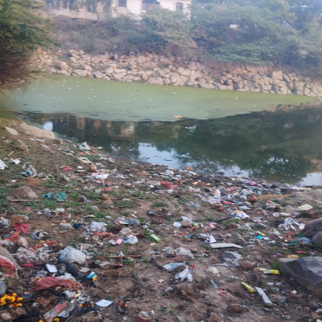 Revived urban lake with walking path