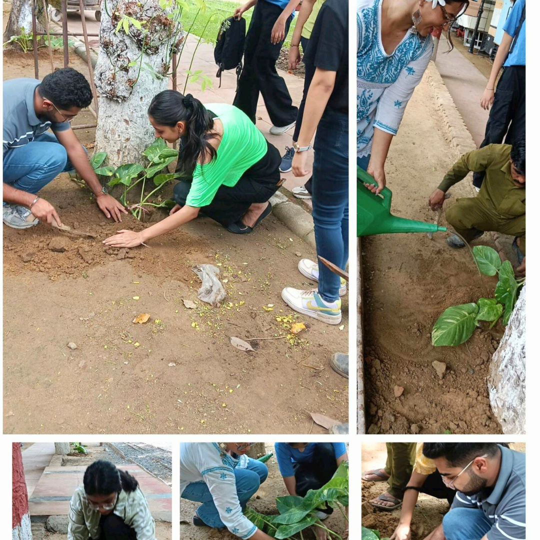 Visitor experience upgrades at NRM