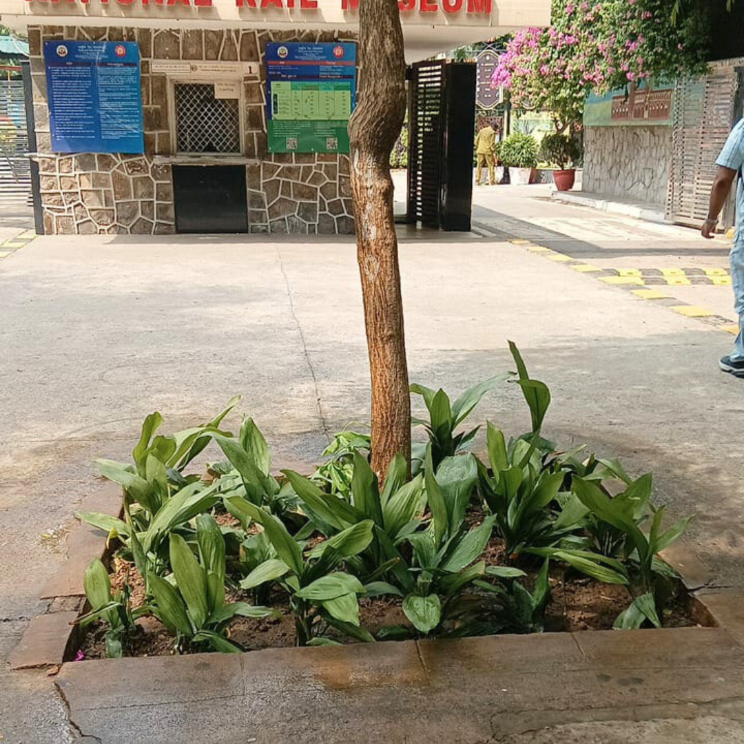 Curated pathways at the museum